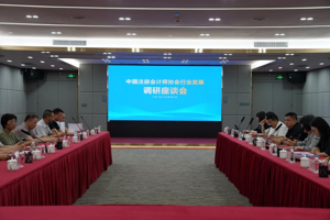 中国注册会计师协会赴粤调研中小事务所高质量发展情况